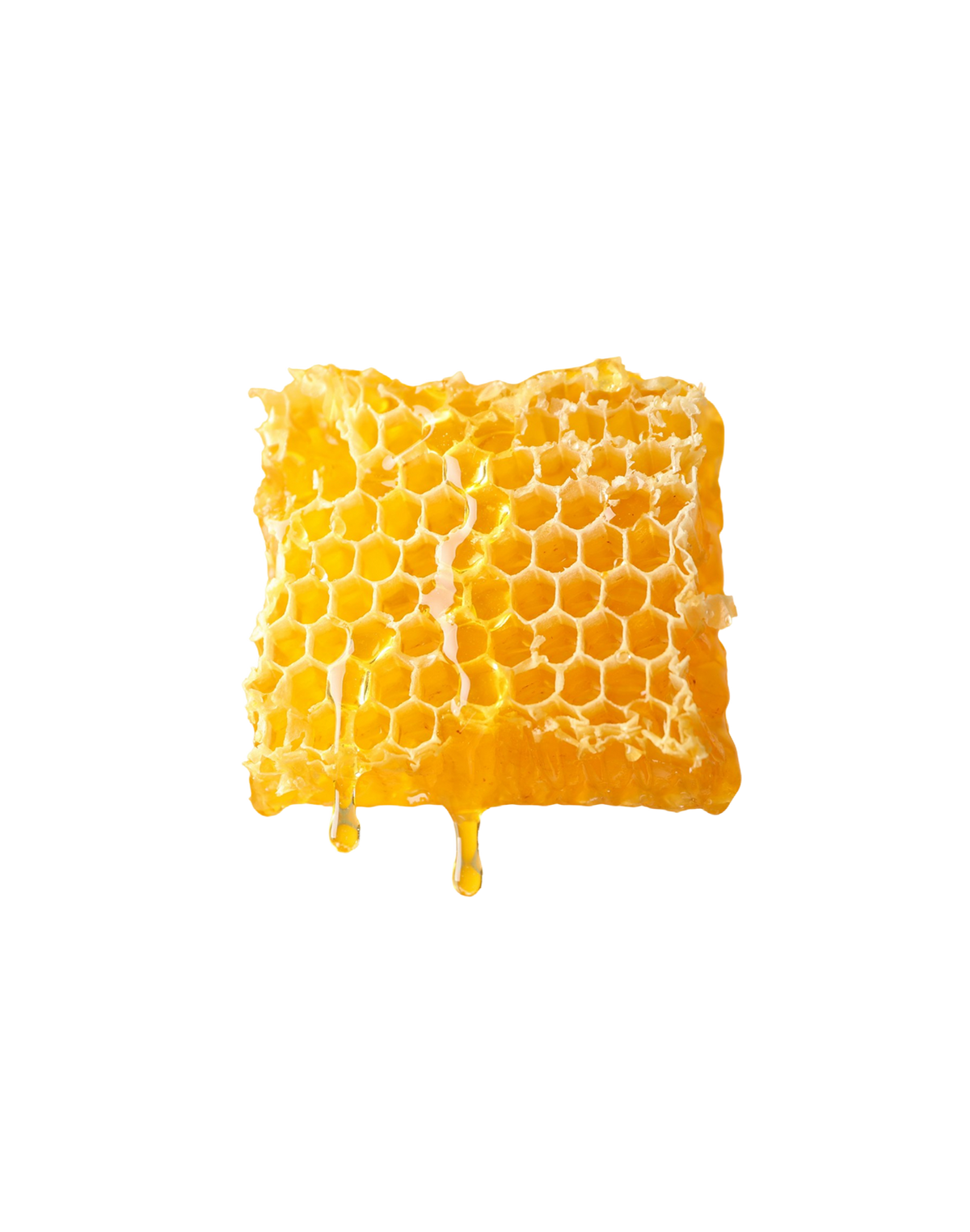 Beewax